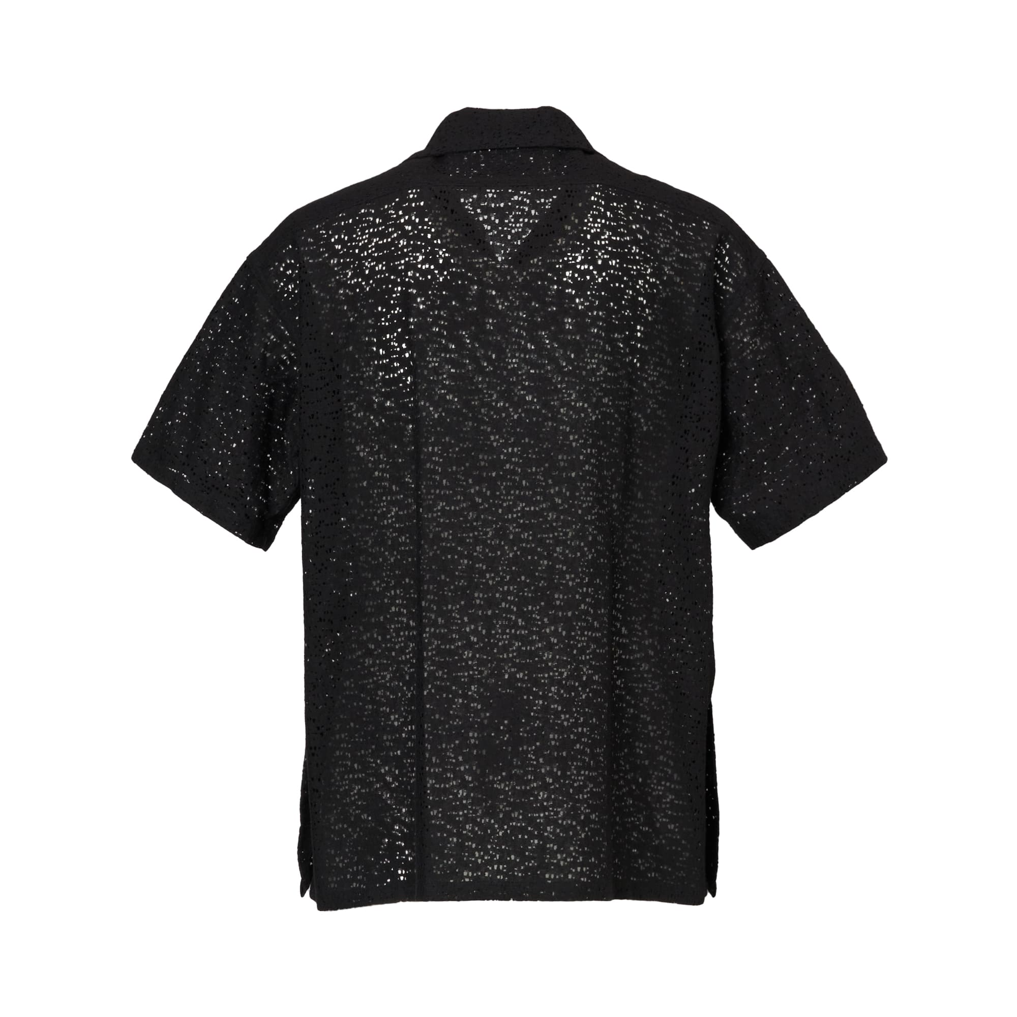Sheer Lace Collar