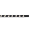 Eyelet Belt