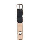 Eyelet Belt