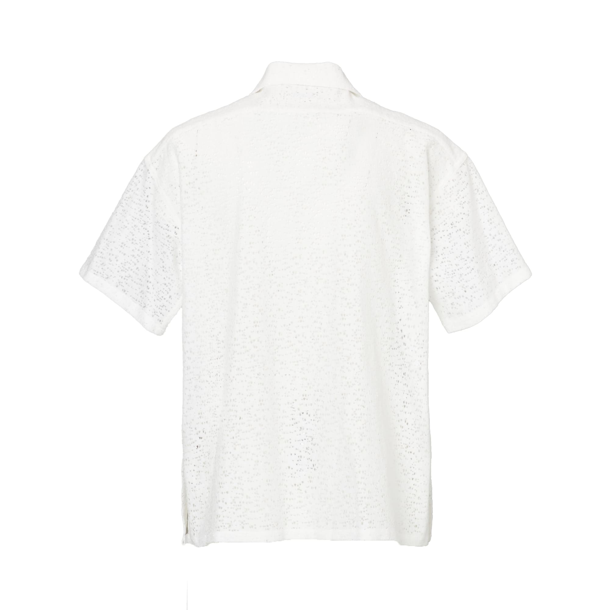 Sheer Lace Collar