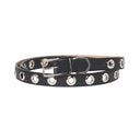 Eyelet Belt
