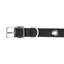 Eyelet Belt