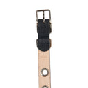 Eyelet Belt